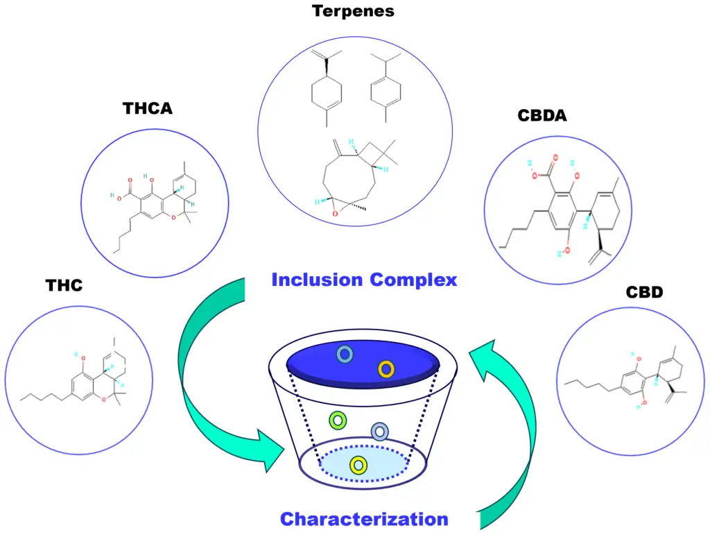 Cannabinoid therapy for chronic pain relief