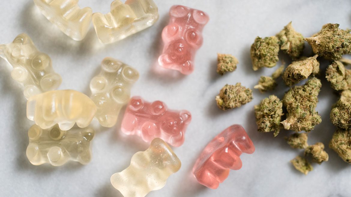 cannabis edibles